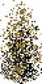 Thumbnail for version as of 11:08, 10 March 2025